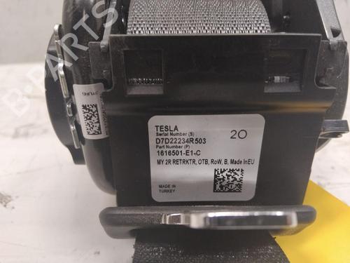 Rear left seatbelt TESLA MODEL Y (5YJY) EV | BP31839595I29