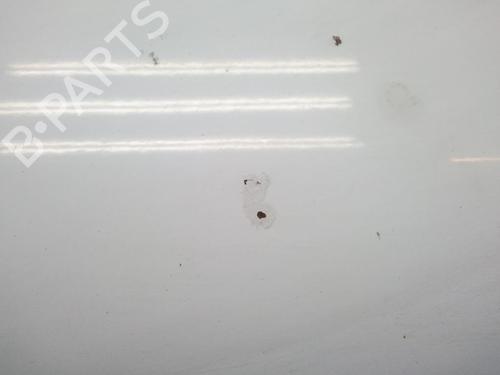 Hood VW GOLF III (1H1) 1.4 | BP20563018C1 