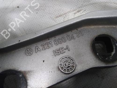 Hinge/Door check strap MERCEDES-BENZ S-CLASS (W221, V221) S 350 (221.056, 221.156) | BP20594355C146 
