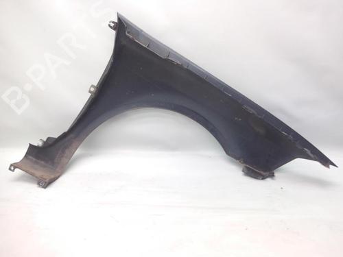 Left front fenders RENAULT LAGUNA II (BG0/1_) 1.9 dCi (BG1A, BG1V) | BP20557843C41 