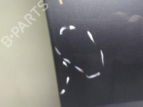 Right front door FIAT BRAVO II (198_) 1.9 D Multijet (198AXB1A) | BP20582080C3 