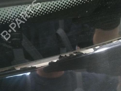 Tailgate PEUGEOT 207 (WA_, WC_) 1.4 | BP20592856C6 