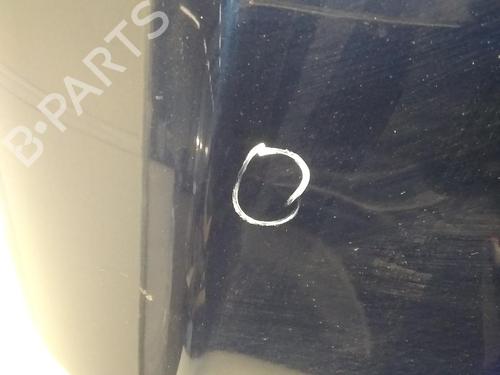 Hood PEUGEOT 407 SW (6E_, 6D_) 2.0 HDi 135 | BP20522785C1 