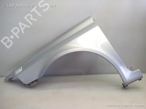 Used Left front fenders RENAULT LAGUNA II (BG0/1_) 2.2 dCi (BG0F) (150 hp) 20557745