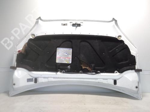 Hood FIAT DOBLO Box Body/MPV (223_) 1.3 D Multijet | BP20522766C1 
