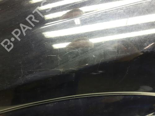 Left front fenders OPEL SIGNUM Hatchback (Z03) 1.9 CDTI (F48) | BP20557748C41 