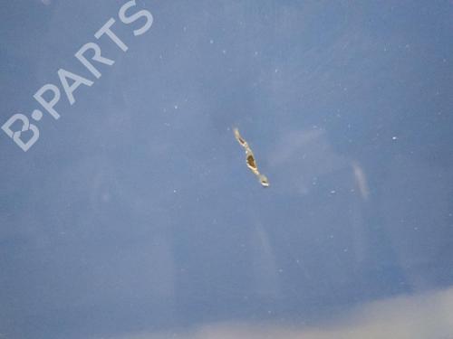 Left front door VW POLO (9N_, 9A_) 1.2 12V | BP20515049C2 