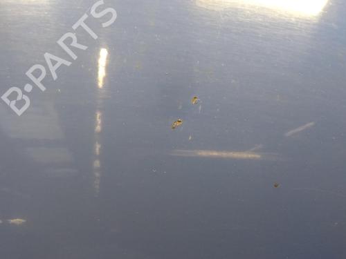 Hood VW POLO IV (9N_, 9A_) 1.2 12V | BP20522635C1 
