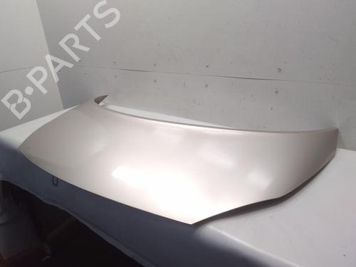Hood RENAULT GRAND SCÉNIC II (JM0/1_) 1.5 dCi | BP20594294C1 