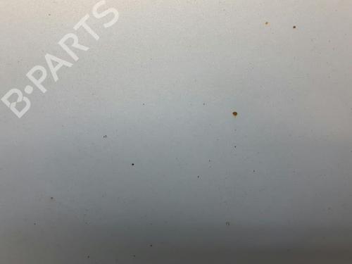 Left rear door RENAULT SCÉNIC II (JM0/1_) 1.9 dCi (JM0G, JM12, JM1G, JM2C) | BP20577571C4 
