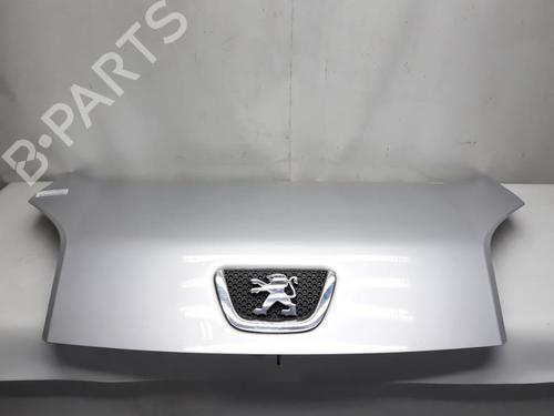 Used Hood PEUGEOT BIPPER Tepee 1.4 HDi (68 hp) 20562836