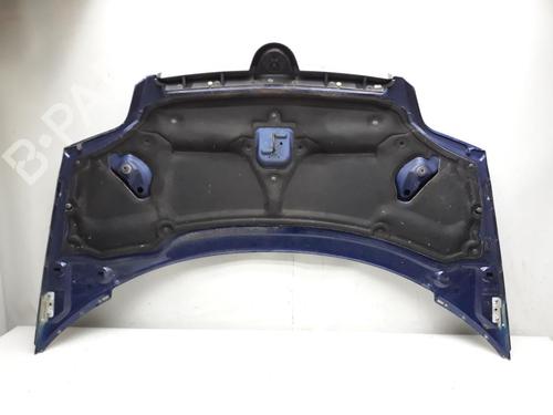 Hood LANCIA PHEDRA (179_) 2.0 D Multijet (179.AXL1B, 179.BXL1B) | BP20563019C1 