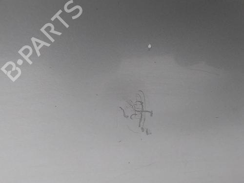 Left front door SEAT IBIZA III (6L1) 1.4 TDI | BP20515095C2 