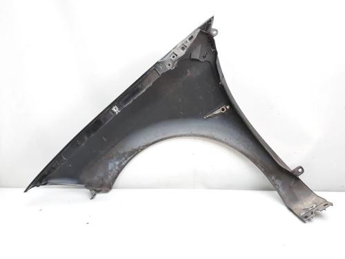 Right front fenders RENAULT MEGANE II Estate (KM0/1_) 2.0 | BP20557885C42 