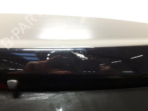 Tailgate RENAULT KOLEOS I (HY_) 2.0 dCi 4x4 (HY0K) | BP20550887C6 