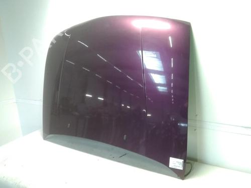 Hood FORD FIESTA IV (JA_, JB_) 1.25 i 16V | BP20522614C1 
