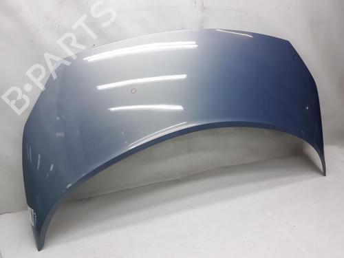 Hood RENAULT SCÉNIC II (JM0/1_) 1.9 dCi (JM0G, JM12, JM1G, JM2C) | BP20562908C1 