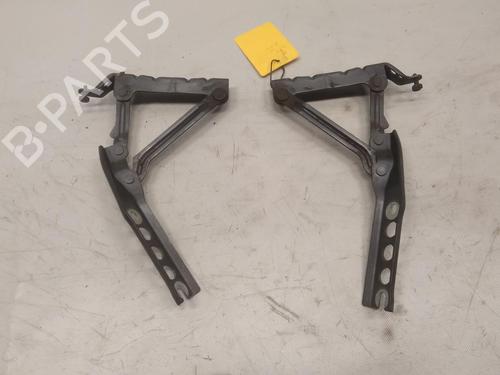 Hinge/Door check strap SKODA FABIA II (542) 1.4 TDI | BP20594356C146 
