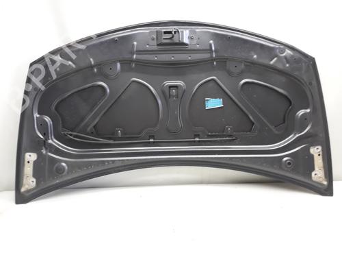Hood RENAULT CLIO III (BR0/1, CR0/1)  | BP20522695C1 