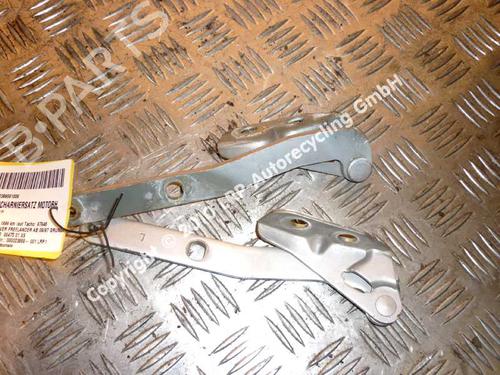 Hinge/Door check strap LAND ROVER FREELANDER I Soft Top (L314) 1.8 i 16V 4x4 | BP20568476C146 