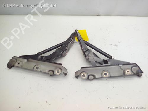 Hinge/Door check strap JAGUAR XF I (X250) 3.0 D | BP20568271C146