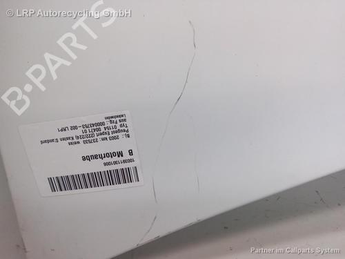 Hood PEUGEOT EXPERT Van (222) 1.9 D 70 | BP20562976C1 
