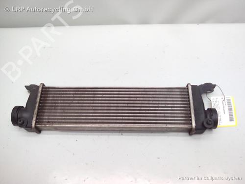 Intercooler MERCEDES-BENZ A-CLASS (W168) A 170 CDI (168.009, 168.109) | BP20559150M30 