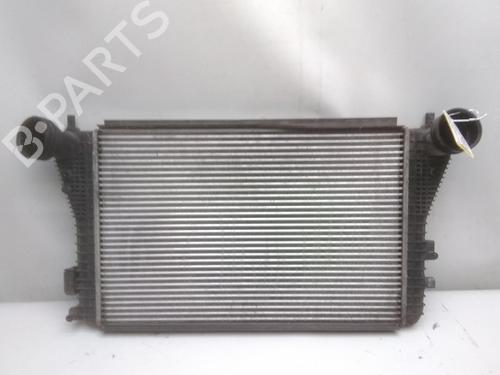 Used Intercooler VW GOLF PLUS V (5M1, 521) 1.9 TDI (105 hp) 20519983