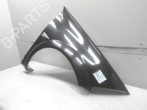 Right front fenders RENAULT MEGANE II (BM0/1_, CM0/1_) 1.4 16V (BM0B, CM0B) | BP20525718C42 