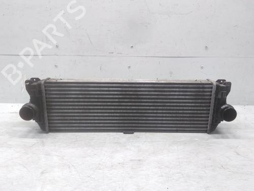 Used Intercooler MERCEDES-BENZ SPRINTER 3,5-t Van (B906) 316 CDI (906.631, 906.633, 906.635, 906.637) (163 hp) 28680217