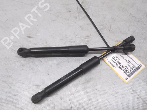 Used Hood lift support TESLA MODEL Y (5YJY) EV All-wheel Drive (450 hp) 20594445