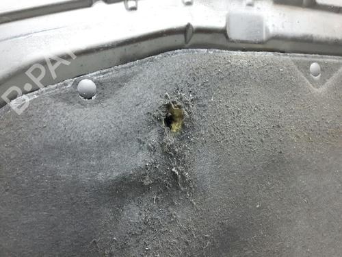 Hood RENAULT LAGUNA II Grandtour (KG0/1_) 2.2 dCi (KG0F) | BP20563061C1 