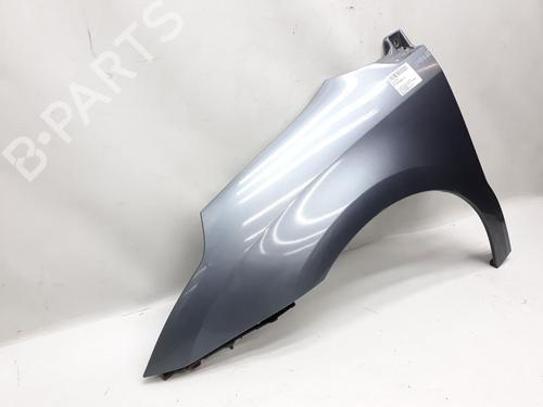 Left front fenders CITROËN C4 I (LC_) 1.6 HDi | BP20557761C41 