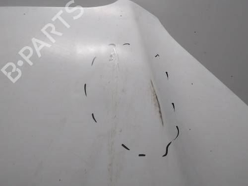 Hood FIAT DOBLO Box Body/MPV (223_) 1.3 D Multijet | BP20522518C1 