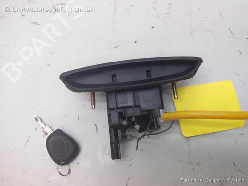 Used Tailgate handle RENAULT MEGANE Scenic (JA0/1_) 1.6 i (JA0L) (75 hp) 20565790