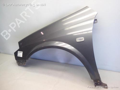 Left front fenders NISSAN PRIMERA Estate (WP12) 1.8 | BP20557810C41