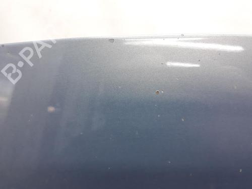 Hood RENAULT SCÉNIC II (JM0/1_) 1.9 dCi (JM0G, JM12, JM1G, JM2C) | BP20562908C1 