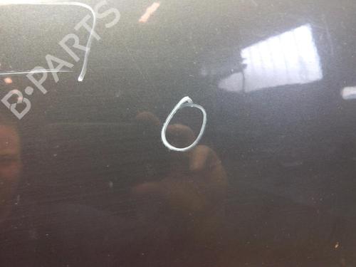 Hood FORD GALAXY II (WA6) 2.0 TDCi | BP20562763C1 