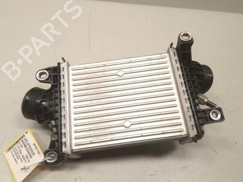 Intercooler FIAT DUCATO Van (250_) 140 Multijet 2,2 D | BP20596196M30 