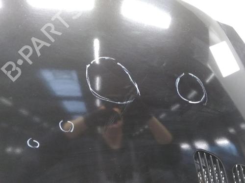 Hood PEUGEOT 206+ (2L_, 2M_) 1.4 i (2LKFWA, 2MKFWA) | BP20594306C1