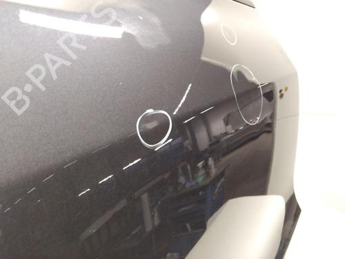 Right rear door TESLA MODEL 3 (5YJ3) EV Performance AWD | BP31631680C5