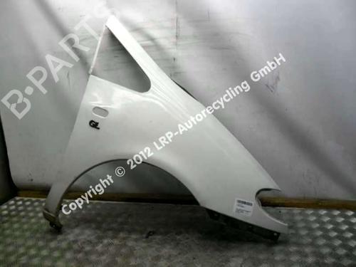 Right front fenders VW SHARAN (7M8, 7M9, 7M6) 2.0 | BP20557992C42 