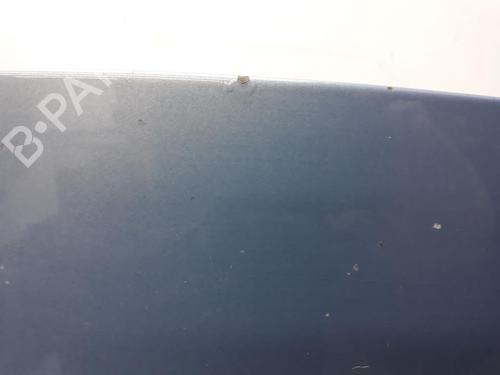 Hood RENAULT SCÉNIC II (JM0/1_) 1.9 dCi (JM0G, JM12, JM1G, JM2C) | BP20562908C1 