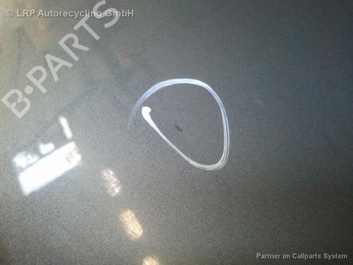 Left rear door AUDI A2 (8Z0) 1.6 FSI | BP20577545C4 