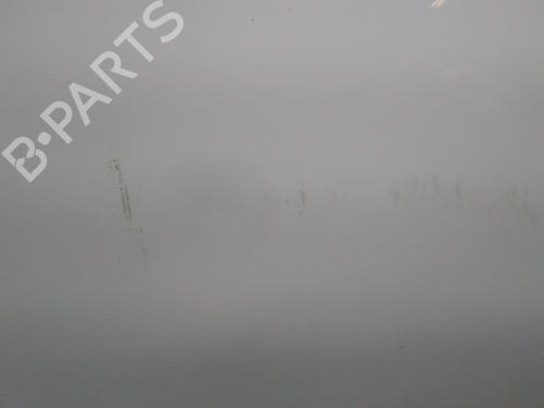 Right front door VW POLO (9N_, 9A_) 1.4 TDI | BP20515342C3 