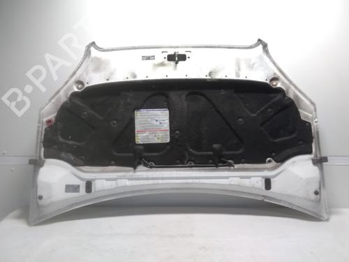 Hood FIAT DOBLO Box Body/MPV (223_) 1.3 D Multijet | BP20522518C1 