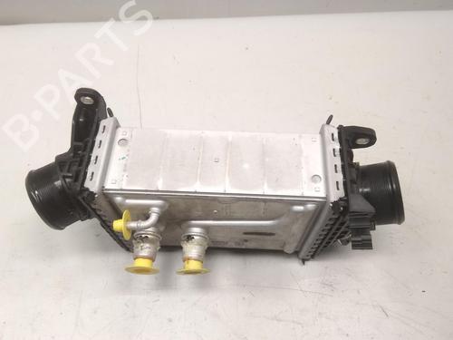 Intercooler FIAT DUCATO Van (250_) 140 Multijet 2,2 D | BP20596196M30 