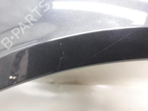 Left front fenders RENAULT LAGUNA II Grandtour (KG0/1_) 2.0 16V (KG00, KG0K, KG0W, KG0P) | BP20557710C41 