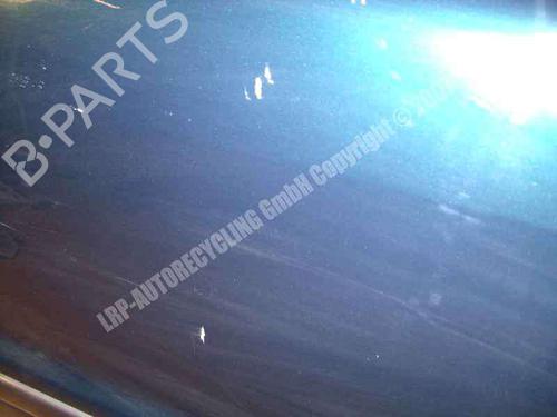 Left rear door MERCEDES-BENZ M-CLASS (W163) ML 320 (163.154) | BP20577782C4 