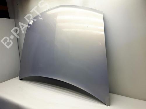 Hood RENAULT VEL SATIS (BJ0_) 3.0 dCi (BJ0J, BJ0N) | BP20562789C1 